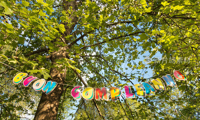意大利人生日快乐，buon compleanno，在公园的树林里